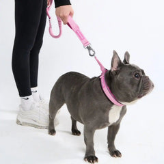 Cushioned Martingale Collar - Pink