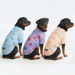 Sunblock Dog T-Shirt (3-pack) - Seashell, Berries, Pineapple
