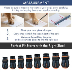 365 All-Season Dog Shoe 4PC Set - Black Orange