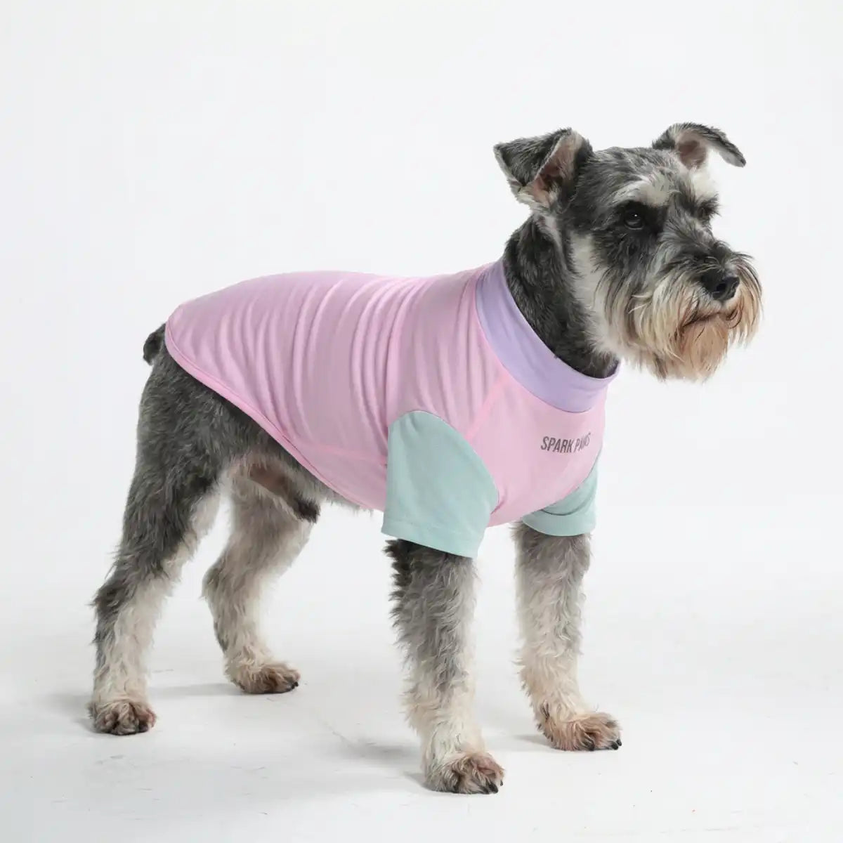 Sunblock Dog T-Shirt - Color Block