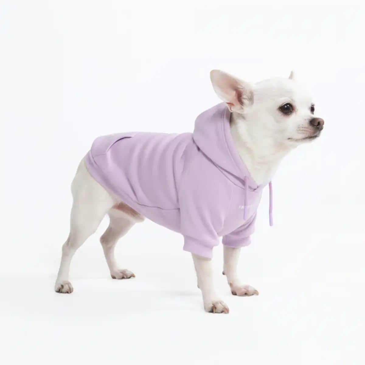 Essential Dog Hoodie - Lavender