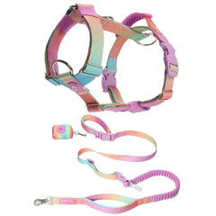 Comfort Control No-Pull Dog Harness and Multipurpose Leash Set - Pastel Icing