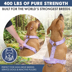 Comfort Control™ No-Pull Dog Harness - Lilac