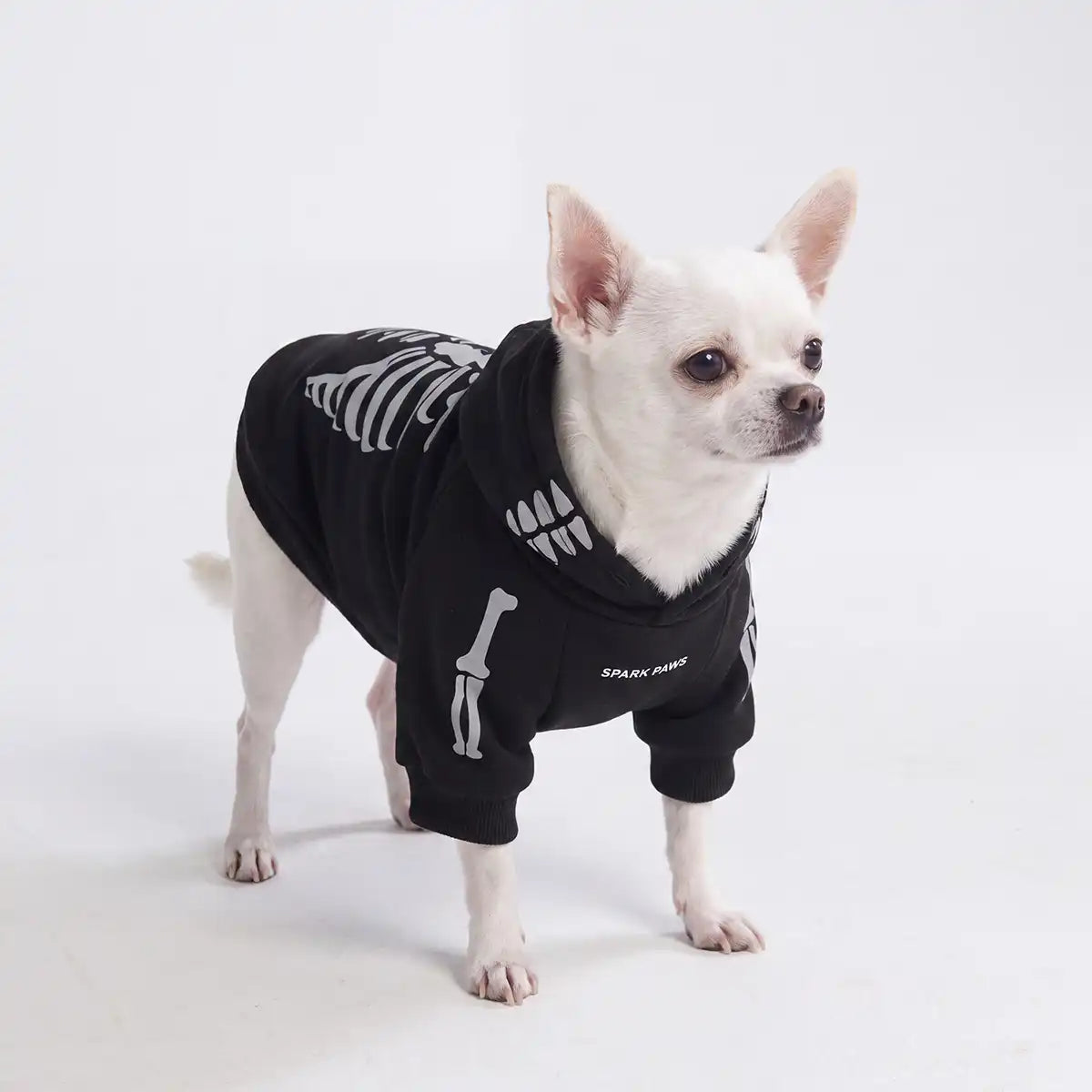 Halloween Dog Hoodie - Reflective Skeleton