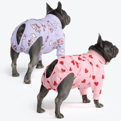 Dog Surgical Suit (2-pack) - Pink Hearts and When Pigs Fly