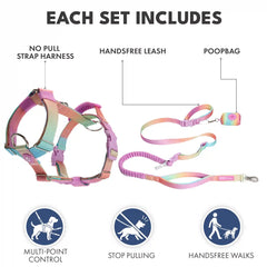 Comfort Control No-Pull Dog Harness and Multipurpose Leash Set - Pastel Icing