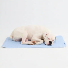 Frostcore™ Cooling Mat - Waffle Blue