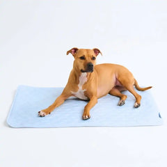 Frostcore™ Cooling Mat - Hearts Blue