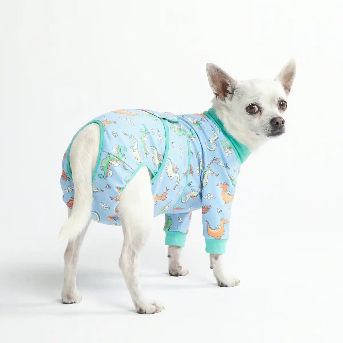 Dog Surgical Suit - Dragons
