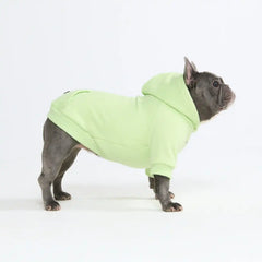 Essential Dog Hoodies