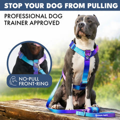 Comfort Control No-Pull Dog Harness - 90s Retro