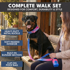 Comfort Control Collar and Multipurpose Leash Set - Snow Cone