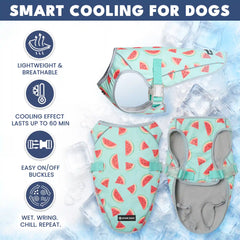 Dog Cooling Vest (2-pack) - Popsicles & Watermelon