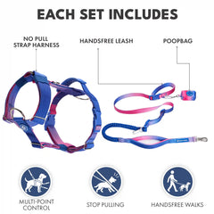 Comfort Control No-Pull Dog Harness and Multipurpose Leash Set - Snow Cone