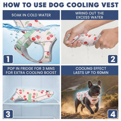 Dog Cooling Vest (2-pack) - Cherries & Popsicles