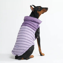 PuffShield Winter Jacket -  Purple