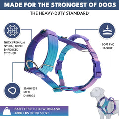 Comfort Control No-Pull Dog Harness - 90s Retro