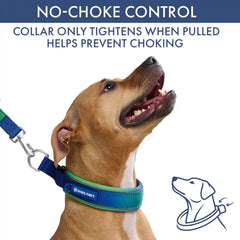 Martingale Collar and Multipurpose Leash Set - Lime Wave
