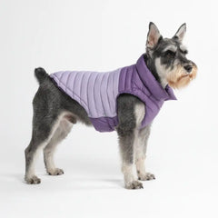 PuffShield Winter Jacket -  Purple