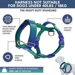 Comfort Control No-Pull Dog Harness and Multipurpose Leash Set - Lime Wave