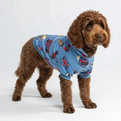 The UK Dog Hoodie