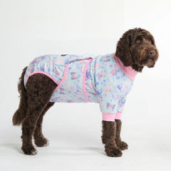 Dog Surgical Suit - Butterfly