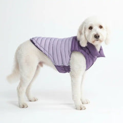 PuffShield Winter Jacket -  Purple