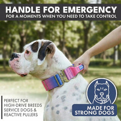Comfort Control Collar and Multipurpose Leash Set - Snow Cone