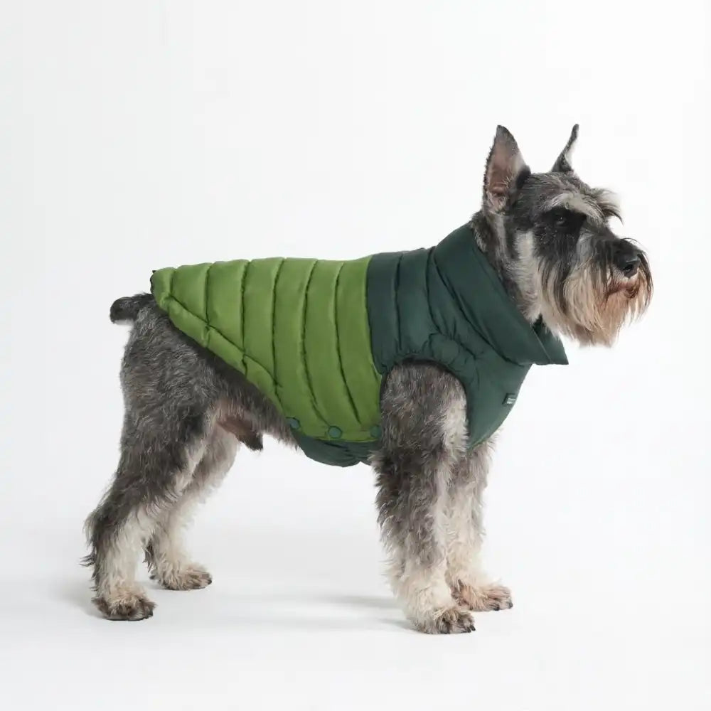 PuffShield Winter Jacket - Green