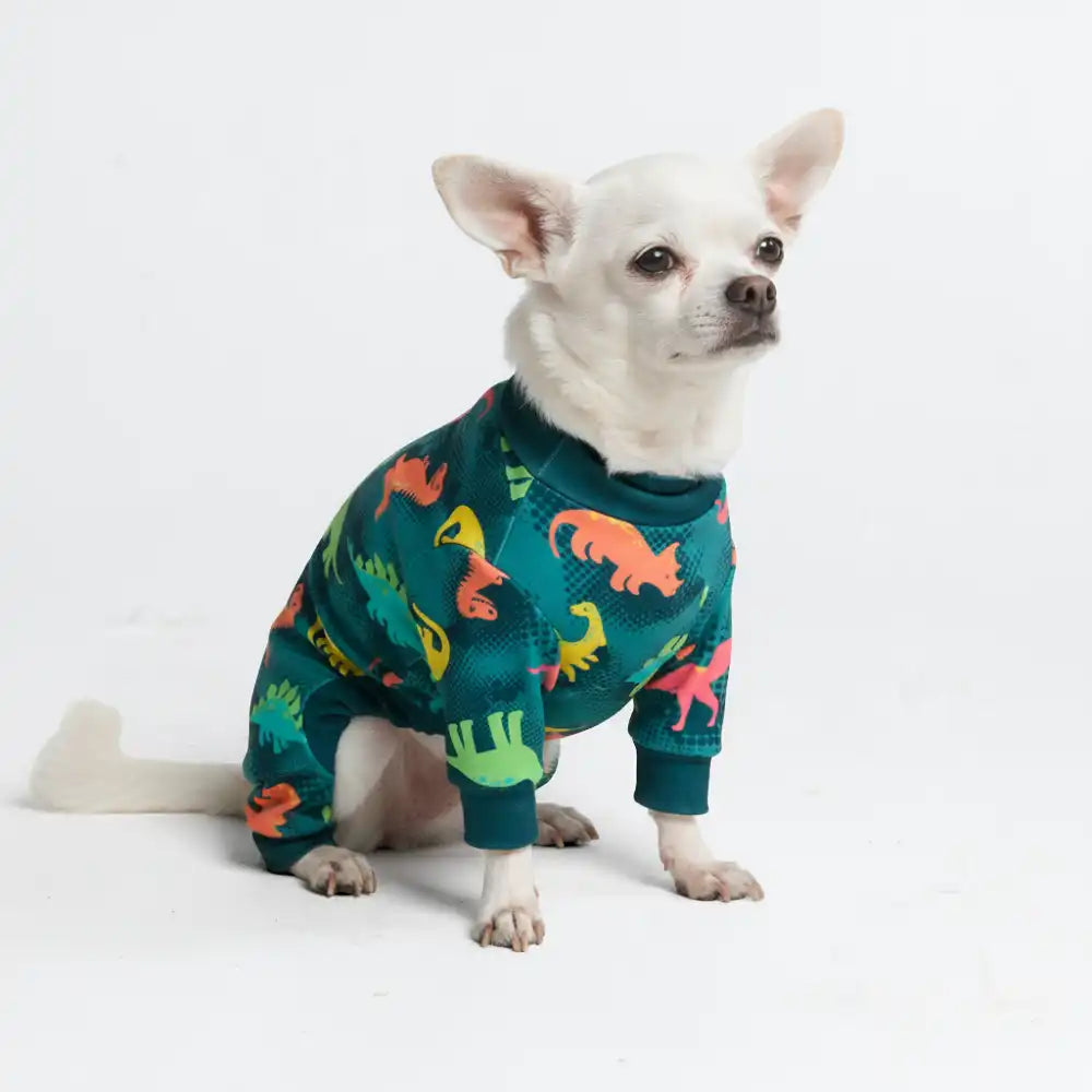 Dog Pajama - Dinosaurs