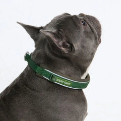 Cushioned Martingale Collar - Army Green