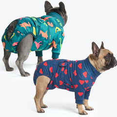 Dog Surgical Suit (2-pack) - Dinosaurs and Hearts