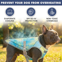 Dog Cooling Vest (2-pack) - Snow Cone & Tropical Storm