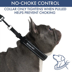 Martingale Collar and Multipurpose Leash Set - Black