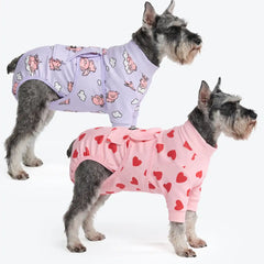 Dog Surgical Suit (2-pack) - Pink Hearts and When Pigs Fly