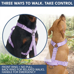 Comfort Control No-Pull Dog Harness and Multipurpose Leash Set - Purple