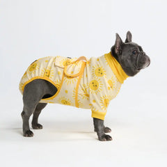 Dog Surgical Suit - Sunshine