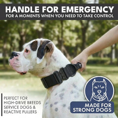 Comfort Control Collar and Multipurpose Leash Set - Black
