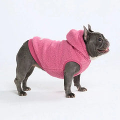 Teddy Sherpa Dog Jackets