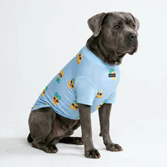 Sunblock Dog T-Shirt - Pineapple