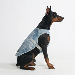 Dog Cooling Vest - Ice Blue