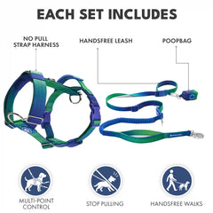 Comfort Control No-Pull Dog Harness and Multipurpose Leash Set - Lime Wave