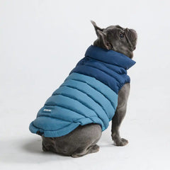 PuffShield Winter Jacket - Blue