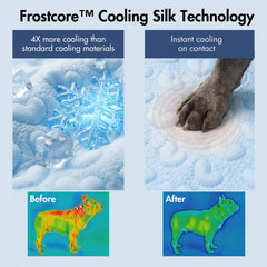 Frostcore™ Cooling Mat (2-pack) - Hearts Blue