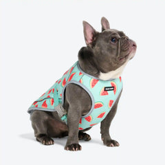 Dog Cooling Vest - Watermelon