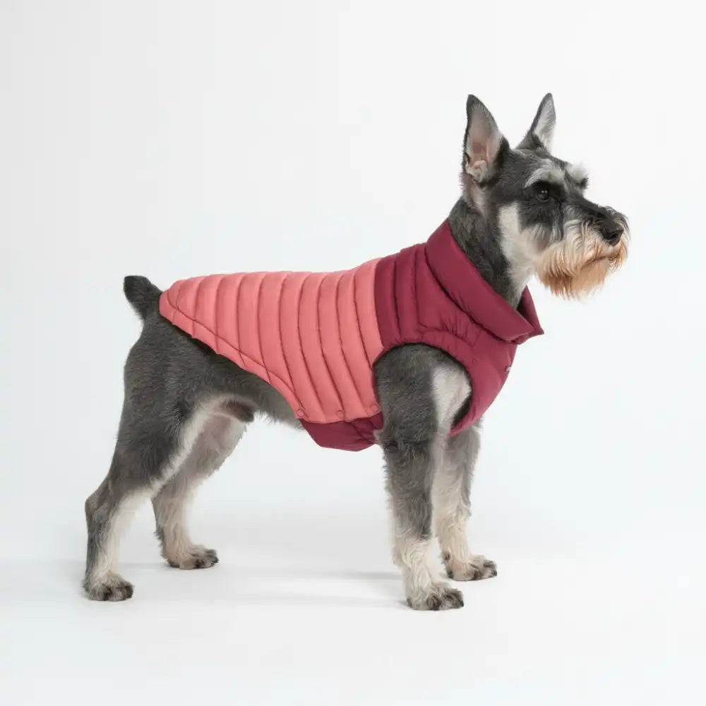 PuffShield Winter Jacket - Red
