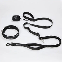 Martingale Collar and Multipurpose Leash Set - Black