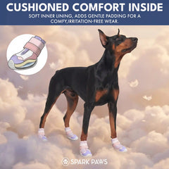 Hot Pavement Pawtector Dog Shoes