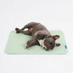 Frostcore™ Cooling Mat - Orb Green