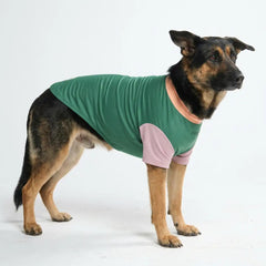 Sunblock Dog T-Shirt - Pistachio